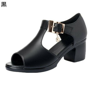 T_u[c xg I[vgD bXgbv ZC fB[X Xgbv T}[u[c V[gu[c Wbv ČC ~  芴  ʋC  ip [}