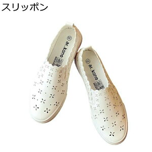 Xj[J[ fB[X [Jbg ԕ  zCg tbg tďH JWAV[Y X|[cV[Y ؂ fbLV[Y d o EBY tďH~ bV