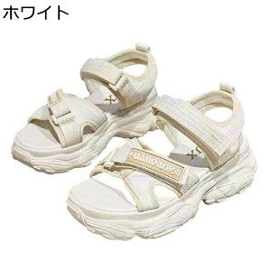 Xj[J[T_  fB[X I[vgD t@Xi[ X|[cT_ NbV v ~ \tg ʋ ʊw  ItBX i s AEghA tďH r[`