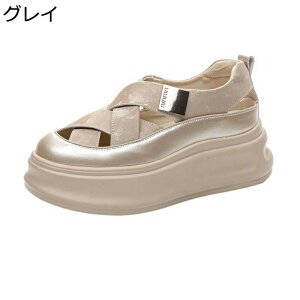 T_  fB[X Xb|  [} N[YgD OfBG[^[T_ PUU[ tďH ʋC ~ RtH[g E֗ ʋΒʊw  ItBX