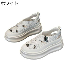 T_  fB[X Xb|  [} N[YgD OfBG[^[T_ PUU[ tďH ʋC ~ RtH[g E֗ ʋΒʊw  ItBX