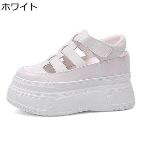 OfBG[^[ T_ fB[X  [} EFbW\[ 8cmq[ nCq[ N[YgD PUU[ vbgtH[ tďH  ~ i f[g W[