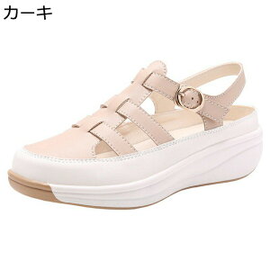 傫TCY OfBG[^[ T_ fB[X  vbgtH[ [} obN t@Xi[ N[YgD PUU[ tďH  ~ JWA ʋΒʊw 