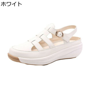 傫TCY OfBG[^[ T_ fB[X  vbgtH[ [} obN t@Xi[ N[YgD PUU[ tďH  ~ JWA ʋΒʊw 