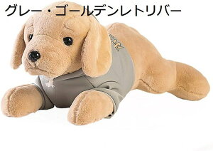  킢 ʂ  S[fEgo[  YQ Z[^[ GG l` q ̎q  n A  Aj}Y a 蕨 v[g 40-80cm