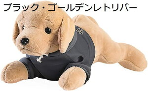  킢 ʂ  S[fEgo[  YQ Z[^[ GG l` q ̎q  n A  Aj}Y a 蕨 v[g 40-80cm