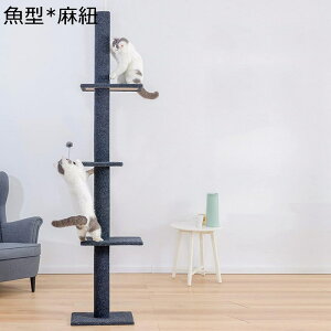 Lbg^[ Lp^[  V lR^[u^ Kit ܌ ϋv  gȒP LObY LbgvCOEh ˂^ X  ^s 炵