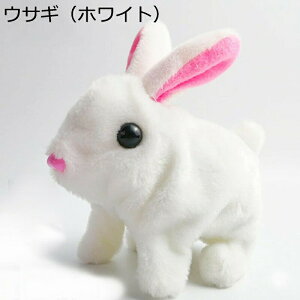 ETM ʂ v~A oj[ rbg dqC^NeBu  mߋ _炩 ӂ ߋ oYj a Ԃ  n ybg