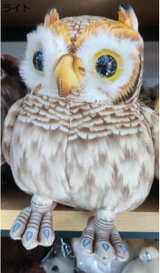 ʂ tNE A cq^  [ybg YQ   ӂӂ ӂ t@bV  CeA a X u v[g q ̎q j̎q yb