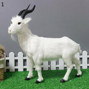 Mʂ u { f CeA  A   H|i  LO q l a 蕨 17*8*16CM ii   Be ͌^ G