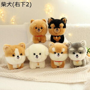 A D D ^ { 20cm nXL[ Č R[M[ rVt[[ `E`E [NV[eA  ӂ   CeA Mt