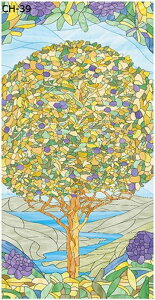 KXtB ĕ XehOX ߂V[g KXtB ՔM CN ڒܕKvȂ ptB V[ ȃKXʂɓKp Ih~ g  p  oX