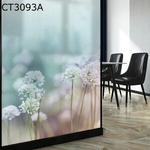 EBhEtB fM ߂V[g uvJbg KXp ډBV[g ԕ  悯 \Ă͂ Ռ CeAV[ œ\ oX Q xbh[ rO O