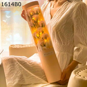 PEドーム ソープフラワー 薔薇 花束 バレンタインデー LEDライト付き お祝い 入学 結婚祝い 教師の日 敬老の日 定年祝い 新築祝い 長持ち 彼女 母の日のプレゼント バレンタイン 部屋飾り イ