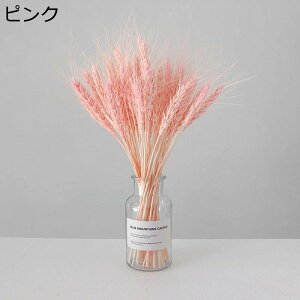 p hCt[ ̕ 50{ vU[uht[ A[gt[ {gt ϋv sv i` o^Cf[ ̓ zj  ItBX p   