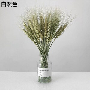 p hCt[ ̕ 50{ vU[uht[ A[gt[ {gt ϋv sv i` o^Cf[ ̓ zj  ItBX p   