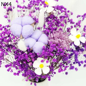 hCt[ ԕrt ͂Ȃ V KN z AWTC u A hCt[ sv k z[  rO rO  ~  d   蕨 