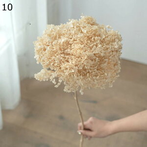 ͂Ȃ hCt[ z AWTC vU[uht[ u[P ԑ LO A  KXJo[ ỉ ϗtA t[ AWg  A[eBV