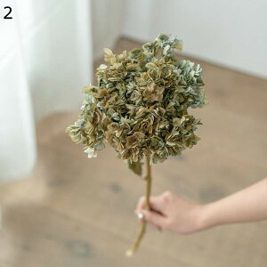 ͂Ȃ hCt[ z AWTC vU[uht[ u[P ԑ LO A  KXJo[ ỉ ϗtA t[ AWg  A[eBV