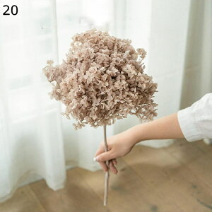 ͂Ȃ hCt[ z AWTC vU[uht[ u[P ԑ LO A  KXJo[ ỉ ϗtA t[ AWg  A[eBV