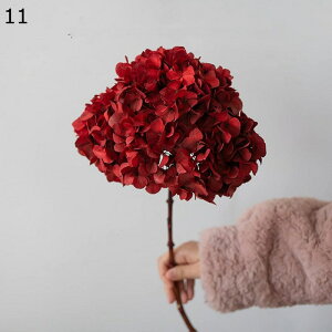 ͂Ȃ hCt[ z AWTC vU[uht[ u[P ԑ LO A  KXJo[ ỉ ϗtA t[ AWg  A[eBV