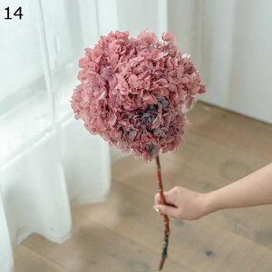 ͂Ȃ hCt[ z AWTC vU[uht[ u[P ԑ LO A  KXJo[ ỉ ϗtA t[ AWg  A[eBV