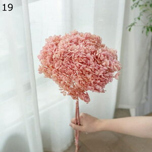 ͂Ȃ hCt[ z AWTC vU[uht[ u[P ԑ LO A  KXJo[ ỉ ϗtA t[ AWg  A[eBV