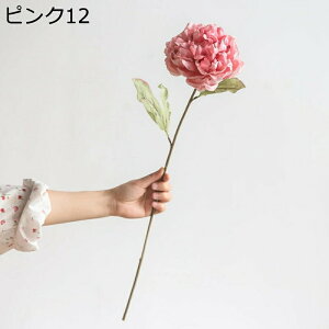  O 䉖 ԑ VNN tFCNVNt[ u[P t[  ͂ CeA ͂Ȃ  Wg u ϗtA i` 킢  uC_