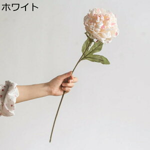  O 䉖 ԑ VNN tFCNVNt[ u[P t[  ͂ CeA ͂Ȃ  Wg u ϗtA i` 킢  uC_