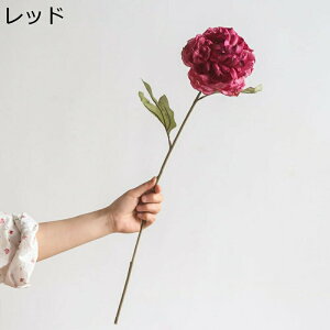  O 䉖 ԑ VNN tFCNVNt[ u[P t[  ͂ CeA ͂Ȃ  Wg u ϗtA i` 킢  uC_