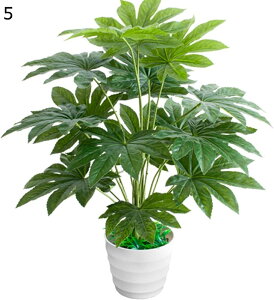 lHϗtA tFCNO[ ^ Xe |gX  sv 60CM ͂Ȃ e[up q Be Vzj A o^Cf[ a nEB EFfBOp v