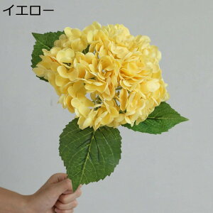 z A[eBVt[ ^  tFCNt[ AWTC ͂Ȃ u[P b炸 Ȃ ỉ CeA Ԃ݂ {  sv z[R[V