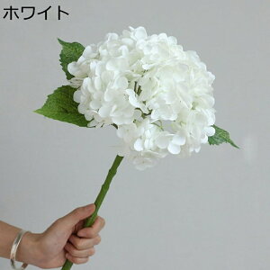 z A[eBVt[ ^  tFCNt[ AWTC ͂Ȃ u[P b炸 Ȃ ỉ CeA Ԃ݂ {  sv z[R[V