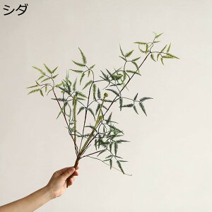  ͂Ȃt[ ϗtA rJNV_ CeA O tFCN V_ Ԃ݂ { ϗtA  fR[Vp ꂢ t[ XK[ }   ސE