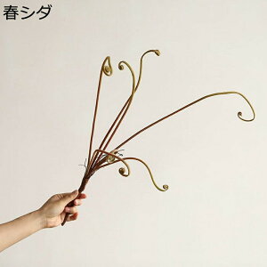  ͂Ȃt[ ϗtA rJNV_ CeA O tFCN V_ Ԃ݂ { ϗtA  fR[Vp ꂢ t[ XK[ }   ސE