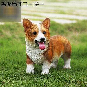 K[fjO R[M[  K[fIuWF O̒u Ck  c K[fjO   h O |G |pi CeAG  J^ObY   O