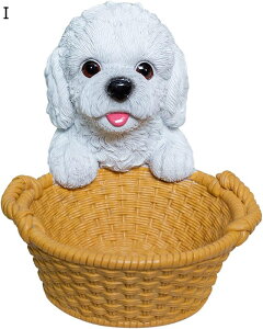 ֎[ u   ʔ  {bNX P[X LbVgC RCgC փgC CeA  K{bNX w sAX lbNX G @\[