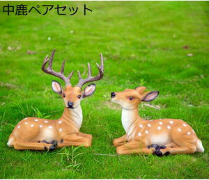K[fu G]VJ OƂčœKȎK[fjOIuWFi`Ȓ̑ OɂgH|i ƂĂIXXx_뉀ɂ