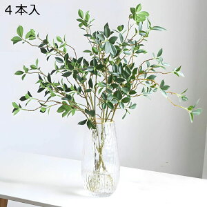 tFCNO[ ϗtA  CeA lHϗtA 4{ t 66/{ 72cmԕrȂ 