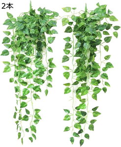 2{ V~[V΂̗t̃rO[̑A̕Ǌ|ق̗t tFCNO[ lHϗtA ACr[   Ǌ|