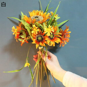  CeA ԑ u[P  ͂Ȃ EFfBO  Be v[g Mtg lHϗtA p z[ 뉀 1 i ItBX Lb`