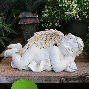 Vg̒u d u l` N 傫 GWF K[fGWF  uK[fIuWF 킢 Vgu  ^Cv 남 IuWF ͋Co i K[fI[