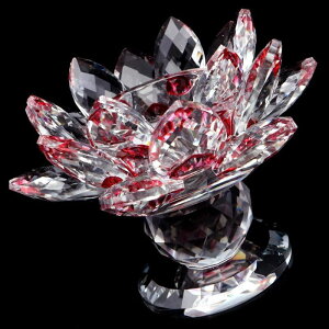 @̉ u size NX^KX TLb`[ 8Color  Z[W uM J^ Ce ObY  STCY PURPLE