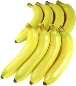 oii {Ȗ͌^ HiTv ʕ͌^ (P8{)