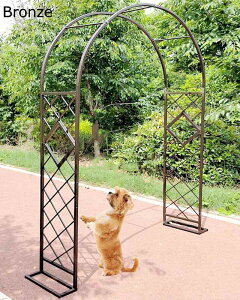 x[XtA[` K[fA[` KтȂoA[` 傫 [YA[` gX K[fjOAgȒP [YA[` K[fA[` p[SA[` oA[` ACAA[` K[