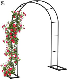 [YA[` pCva19mm K[fA[` gX o p A[` KтȂ KNA[` O t[A[` gȒP x[XtA[` p[S  K[fjO EFfBOA[`