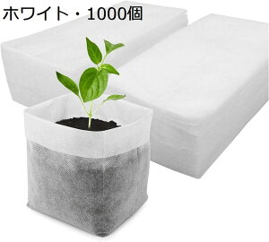 1000̕sDzc|bgobO,c|bg c|bgobO sDzv^A |v^[ |pi ۊǑ p ʕp ԗp ؗp A琬 瑣i