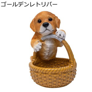 킢̃oXPbg[ u ֎[ ̑̒u CeA  킢 rvu R/LfB[ȂǏ[    G av[g Vzj