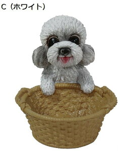 ̑̒u ֎[ [ u 킢̃oXPbg[ CeA 킢 rvu R/LfB[ȂǏ[   G av[g Vzj