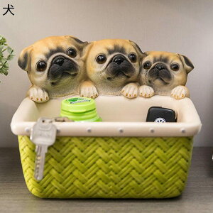 ֎[ u L[[gC ObY CeA rv[ @\ k [ 킢   NGCeBu R/LfB[ȂǏ[ av